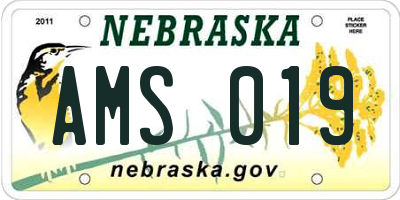 NE license plate AMS019