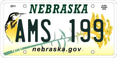 NE license plate AMS199