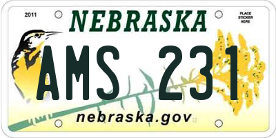 NE license plate AMS231