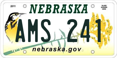 NE license plate AMS241