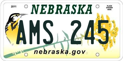 NE license plate AMS245
