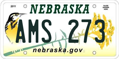NE license plate AMS273