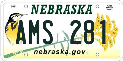 NE license plate AMS281