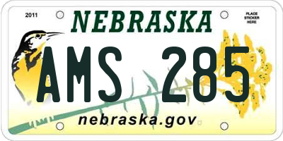 NE license plate AMS285