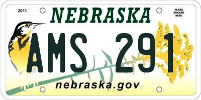 NE license plate AMS291
