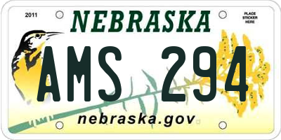NE license plate AMS294
