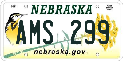 NE license plate AMS299
