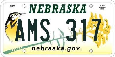 NE license plate AMS317