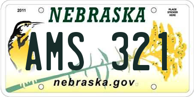 NE license plate AMS321