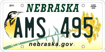 NE license plate AMS495