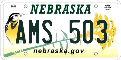 NE license plate AMS503