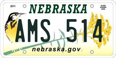 NE license plate AMS514