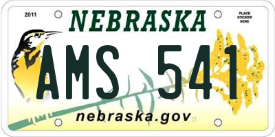 NE license plate AMS541