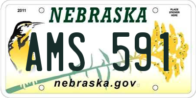 NE license plate AMS591