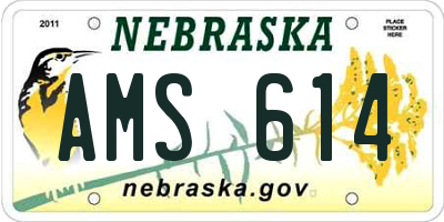 NE license plate AMS614