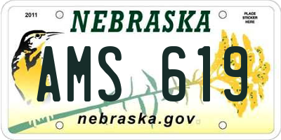 NE license plate AMS619
