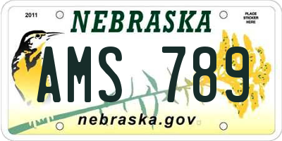 NE license plate AMS789