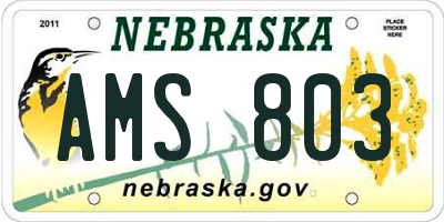 NE license plate AMS803