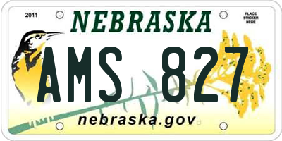 NE license plate AMS827