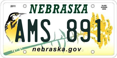 NE license plate AMS891