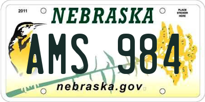 NE license plate AMS984