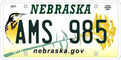 NE license plate AMS985