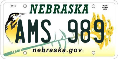 NE license plate AMS989