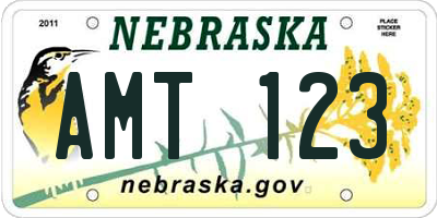 NE license plate AMT123