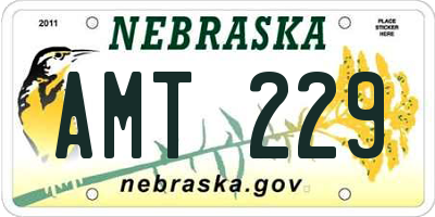 NE license plate AMT229