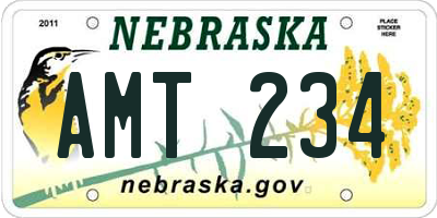 NE license plate AMT234