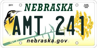 NE license plate AMT241