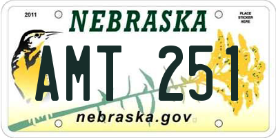 NE license plate AMT251