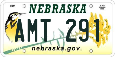 NE license plate AMT291
