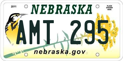 NE license plate AMT295