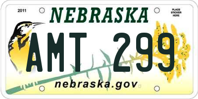 NE license plate AMT299