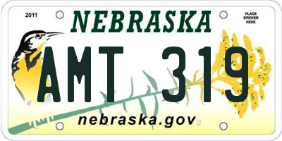 NE license plate AMT319
