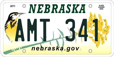 NE license plate AMT341