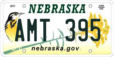 NE license plate AMT395