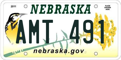 NE license plate AMT491