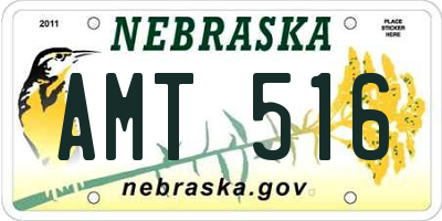 NE license plate AMT516