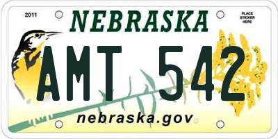NE license plate AMT542