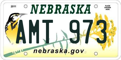NE license plate AMT973