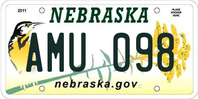 NE license plate AMU098