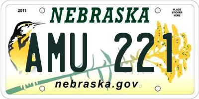 NE license plate AMU221