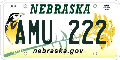 NE license plate AMU222