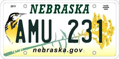 NE license plate AMU231