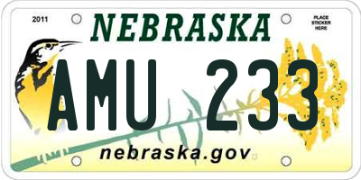 NE license plate AMU233