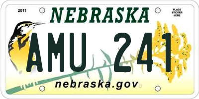 NE license plate AMU241
