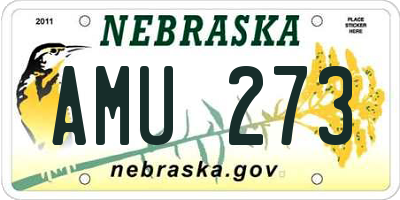 NE license plate AMU273