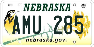 NE license plate AMU285